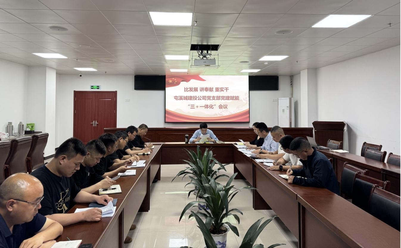 區(qū)國投集團城建投公司黨支部：黨建賦能助推項目建設提質(zhì)增效