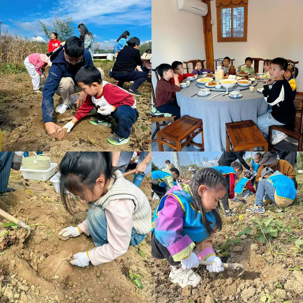 南溪南村：以薯為媒繪新景，活動(dòng)賦能興鄉(xiāng)村